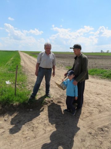 Wsiedlenie Kuropatw w łowisko 10.05.2016 obw 266 i 277